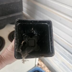 Black Plastic Plant Pot